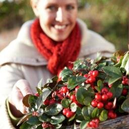 SpecialPlantZun Profile Picture