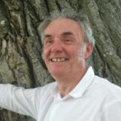 Flafourcade's profile picture. 