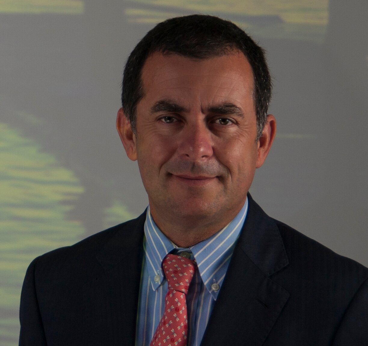 Profesor Escuelas de Negocio y Universidad en Competencias Directivas,Estrategia, Estructura y Gestión del Cambio. Actualmente Director del IMFE Ayto. Málaga.