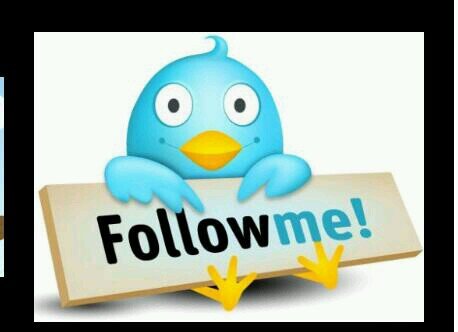 #TEAM FOLLOW BACK