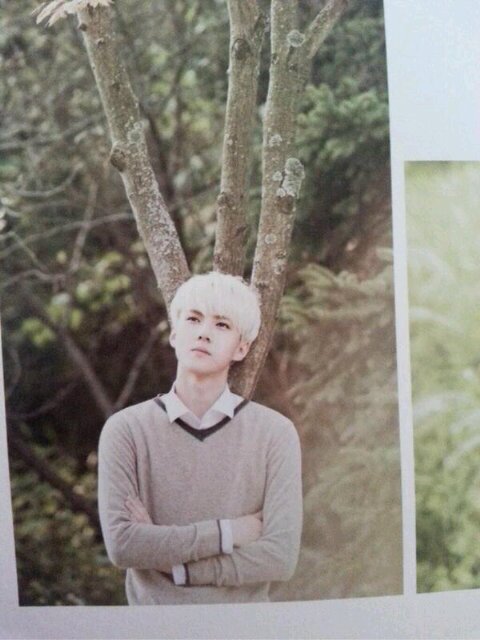 Fail RolePlayer Oh SeHun 엑소 ― 1994 ― teycim's mine