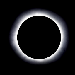 locoYimy's profile picture. 