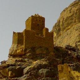 mshgri2011's profile picture. لكل داء دواء يستطب به .. الا الحماقة اعيت من يداويها