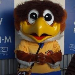 ベガサポです。主にサポ自にいます。自分の会社がユニフォームスポンサーになるよう頑張ってます。気軽にフォローしてもらえると嬉しいです。