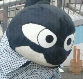 suzugra Profile Picture