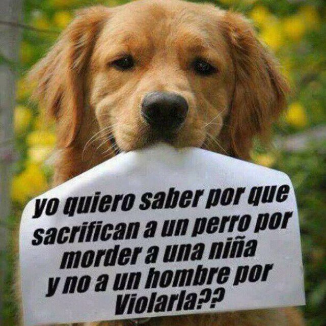 ompecosita's profile picture. 