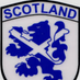 Go Racing Scotland (@RacingScotland) Twitter profile photo