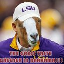 Daniel Wiles - @TidePride15 - Twitter