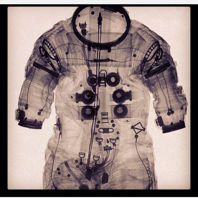 Freeze_Rae's profile picture. 