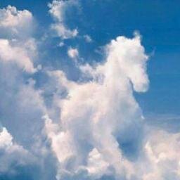 kieranmelly's profile picture. 