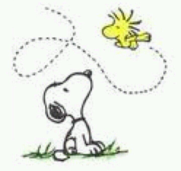 mwmwdajwm's profile picture. 笑おうよ。