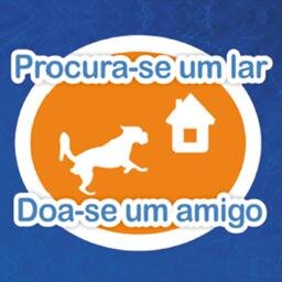 Procura-se um lar, Doa-se um amigo, documentário sobre o resgate/adoção de cães. Mas a ideia é ir bem além do documentário, queremos estimular o debate da causa