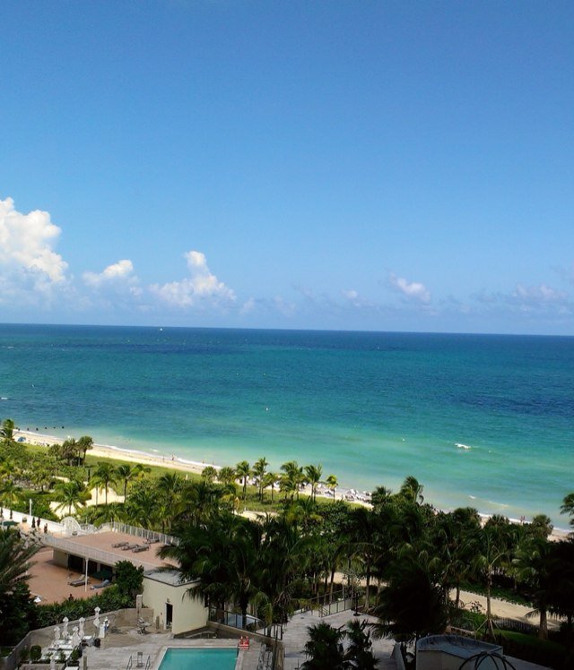 InfinitLoopster's profile picture. 