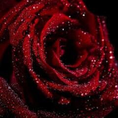 LizaDWolfe's profile picture. Very amateur writer, but I'm giving it a try.
http://t.co/VuSF5Zr5oH