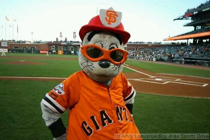 SF Giants & Warriors Fan!