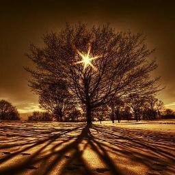 hayatiiikaya's profile picture. 