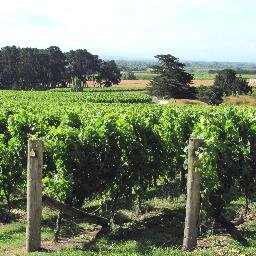 @NZWineNews is an Auckland-Hawke's Bay-based Twitter account which focuses on NZ's wine sector - domestic and export. (See also, NZWineNews on Facebook).