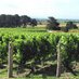 @NZWineNews (@nzwinenews) Twitter profile photo