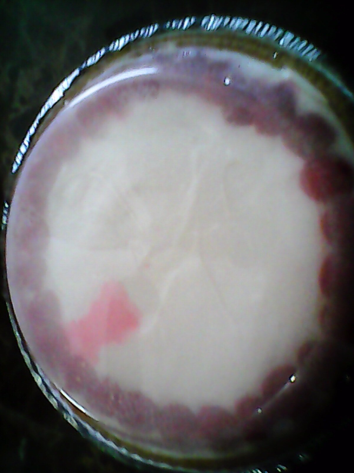 tct6rctf's profile picture. I live in 12 or 34 houses i have 5 dogs i am so  HAPPY that   i am a singer