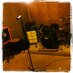 The Dog Shop (@thedogshope8) Twitter profile photo