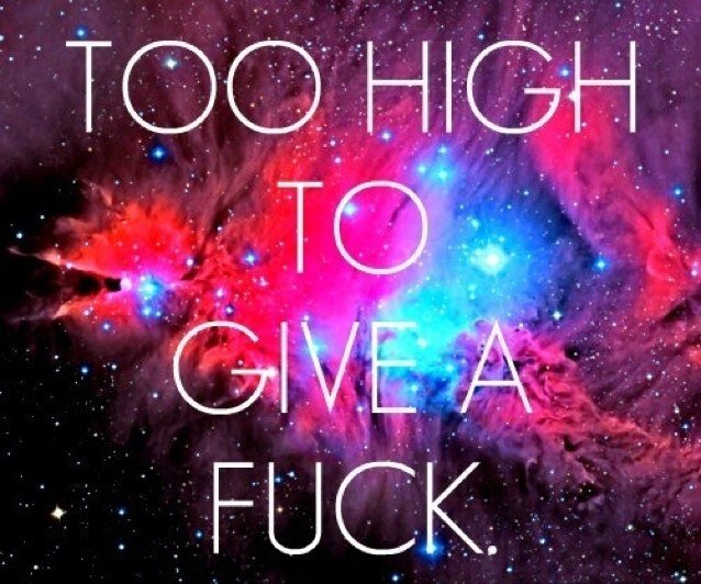 • Smoke Weed • Fuck Bitches • Eat Bitches •