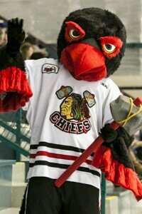 Flip the Eagle is the mascot of the Kelowna Chiefs. *KIJHL* Building a Stronger Community* Go Chiefs Go!*