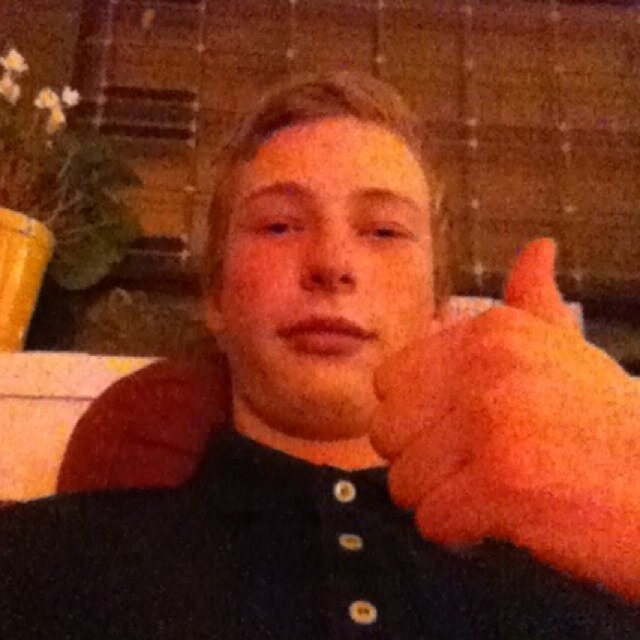 in tricht