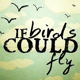 Official Street Team of @ifbirdscouldfly