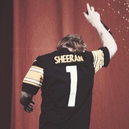 go follow @charmingsheersn