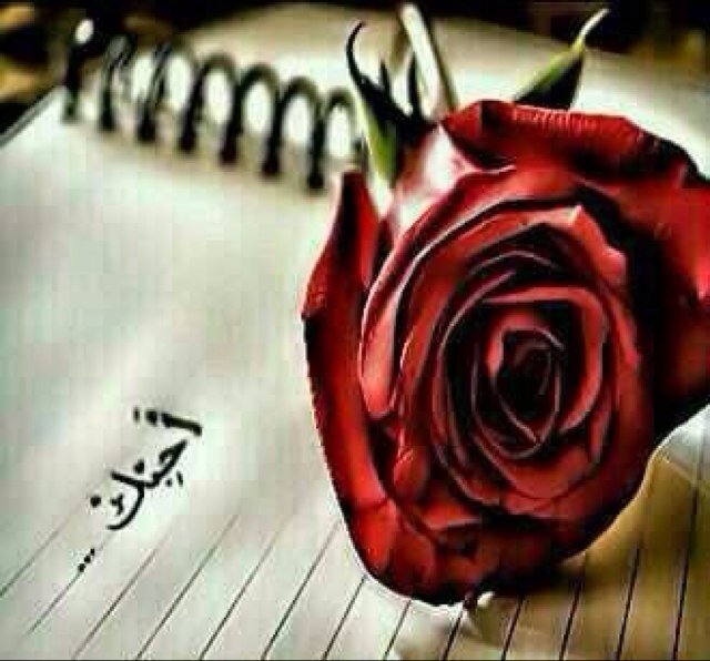 استغفرالله العظيـم واتووب اليـه ...