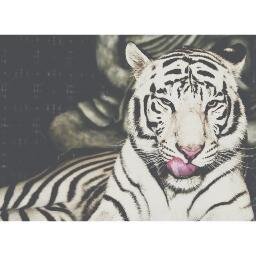 Irregvlar's profile picture. you're alive, live.