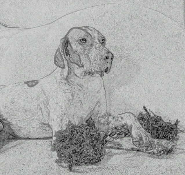 Moestuin, honden, knuffelen, ISS, strikken en sterren, Italië, natuur, humor, robotmaaiers, biochemisch analist, @StrikenSter_