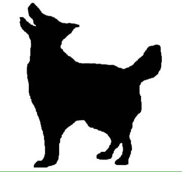 Online magazine devoted to dog dancing of all kinds. Hosting videos that date back to 1999. Subscribe today!