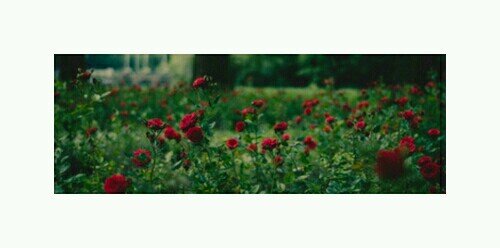 استغفرالله واتوب اليه سبحان الله وبحمده سبحان الله العظيم ✨
