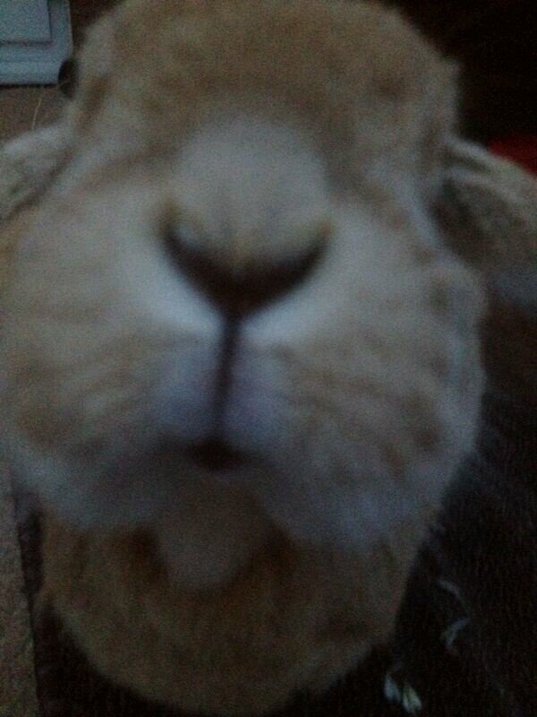 queenbee3939's profile picture. Life's too short to be stuck in one place