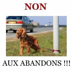 Militant pour la cause animale et pour l'écologie.