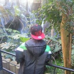 Experto en nada