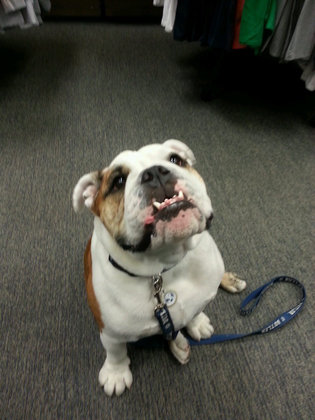 JunKang90's profile picture. 