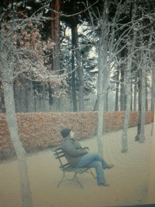 airmagt's profile picture. 