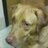 Profile Picture of Joe Darrell (@@joedarrelld) on Twitter