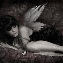 im snow im a dark angel i dont trust people they always hurt me i just wanna be noticed is that to much to ask /rp/ange/single