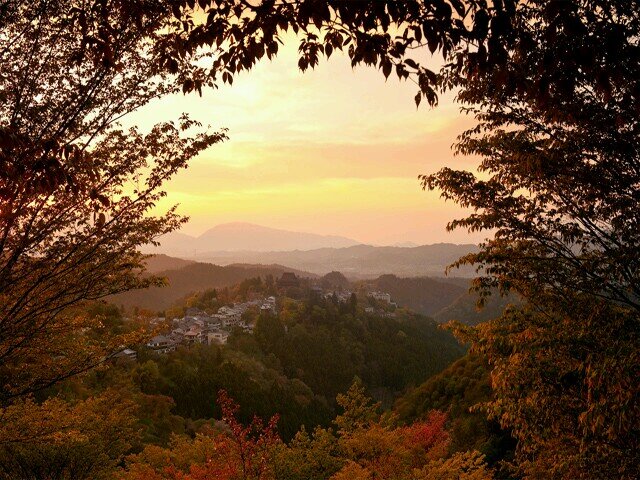 kuralhalis's profile picture. 