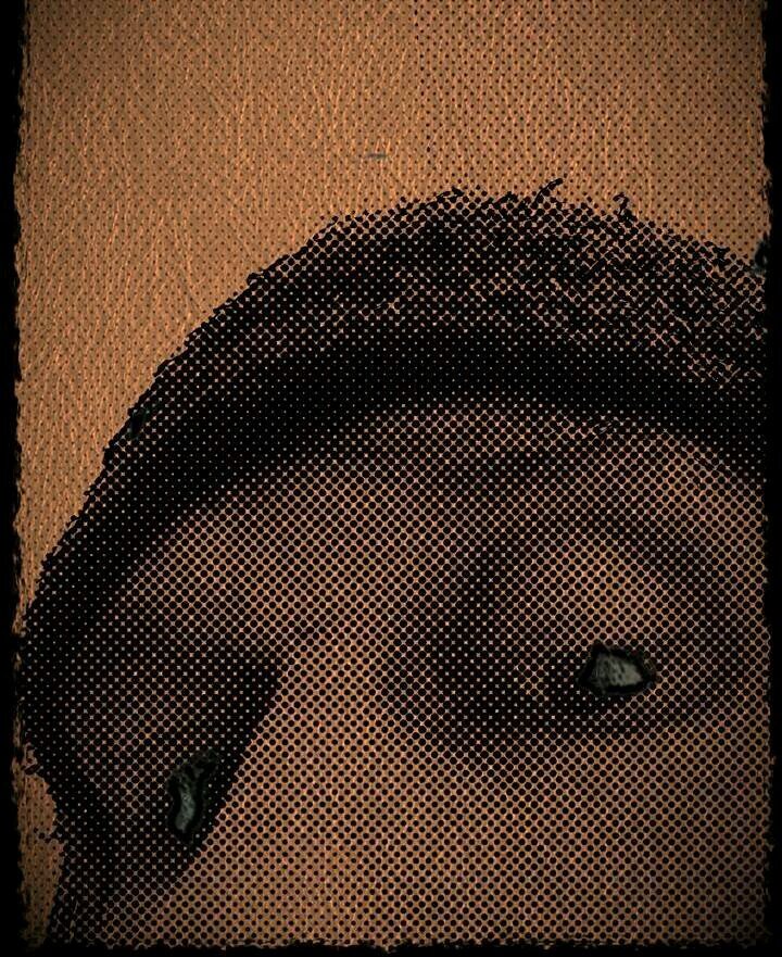 Feeling Groovy