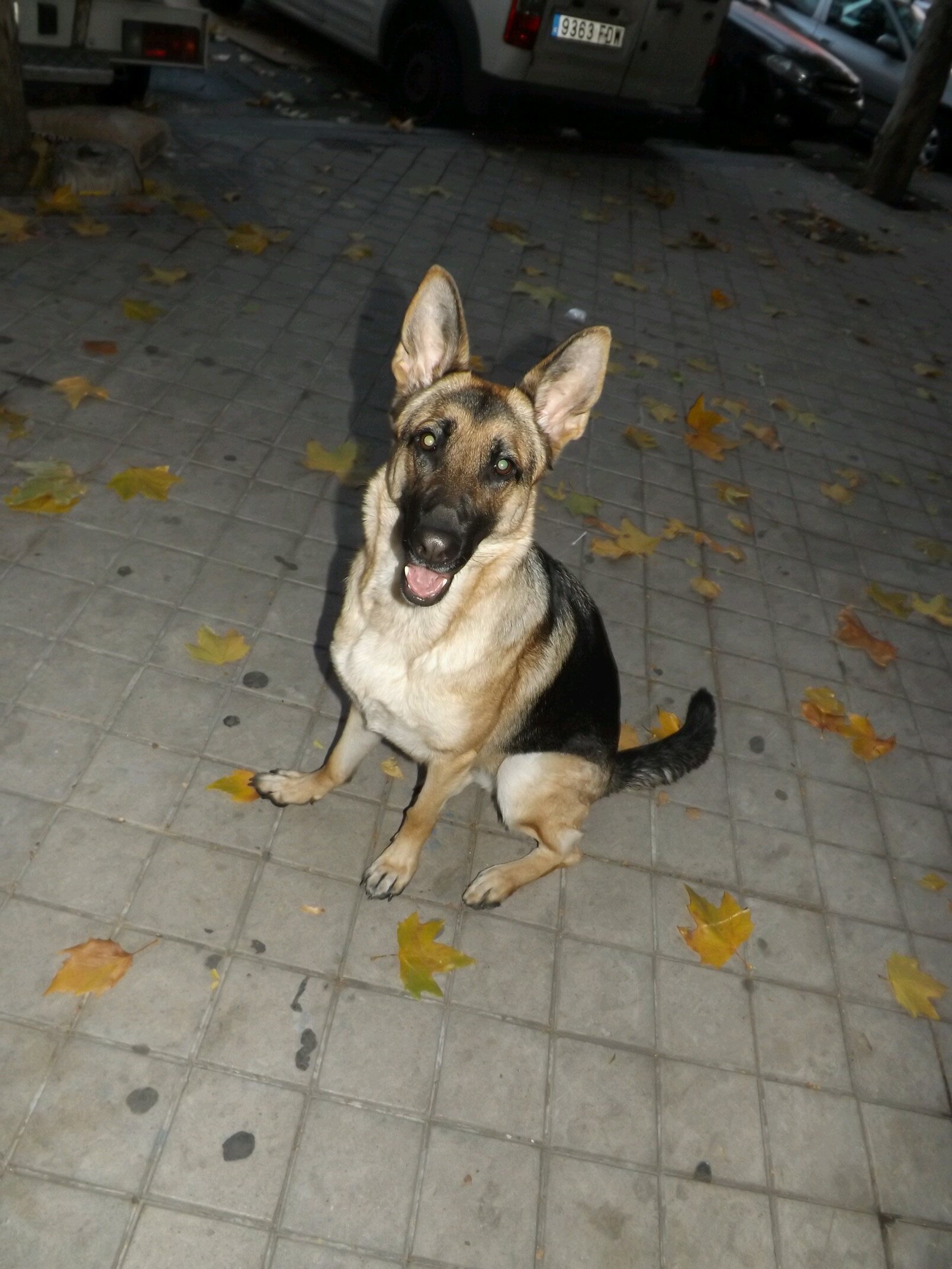 Every finish line is the beginning of a new race. Mi Kira ♥