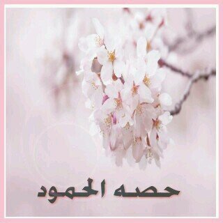 كل ما يكتب هنا ثواب للمغفوره لها بإذن الله #امي_حصة_الحمود ربي اغفر لها وارحمها وتجاوز عنها ووسع مدخلها يارب ( لعل ما يكتب هنا صدقه تفرح بها )