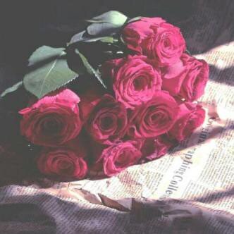 Try to follow me you'll not regret it ;p