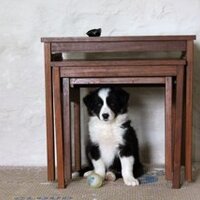 ruth morris (@brecongal) 's Twitter Profile Photo ruth morris (@brecongal) 's Twitter Profile Photo
