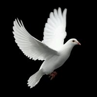 Tilahun Feleke (@ttees2012) 's Twitter Profile