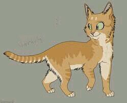 Strong she cat with blue eyes. I live in my clan's territory. Honorable warrior of Dawnstar. Trying to get somecat to love me.