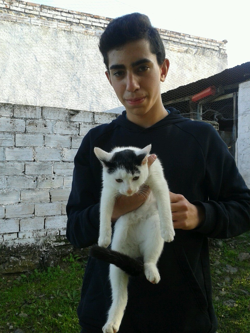 soy sublime